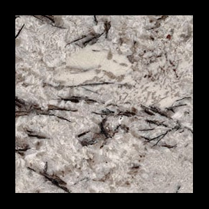 delicatus white granite